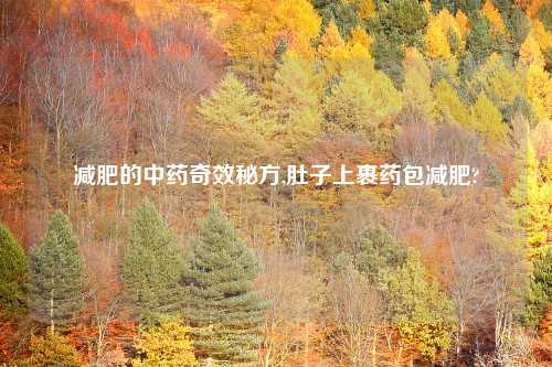 减肥的中药奇效秘方,肚子上裹药包减肥?