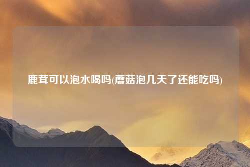 鹿茸可以泡水喝吗(蘑菇泡几天了还能吃吗)