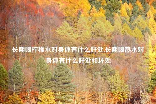 长期喝柠檬水对身体有什么好处,长期喝热水对身体有什么好处和坏处