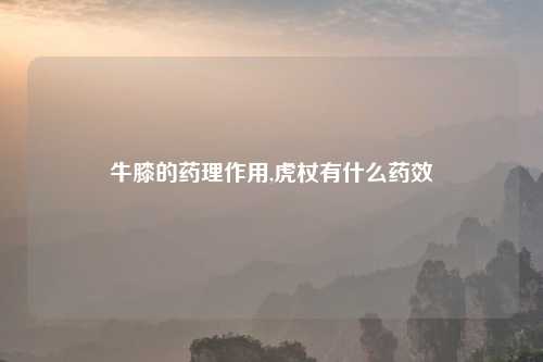 牛膝的药理作用,虎杖有什么药效