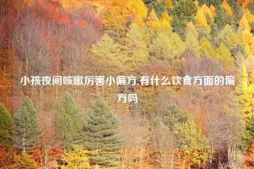 小孩夜间咳嗽厉害小偏方,有什么饮食方面的偏方吗