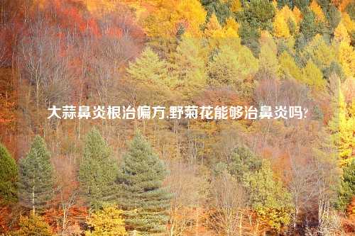 大蒜鼻炎根治偏方,野菊花能够治鼻炎吗?