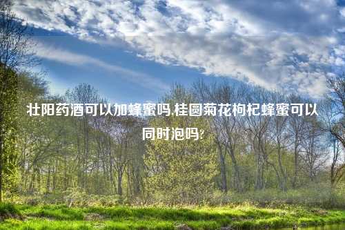 壮阳药酒可以加蜂蜜吗,桂圆菊花枸杞蜂蜜可以同时泡吗?