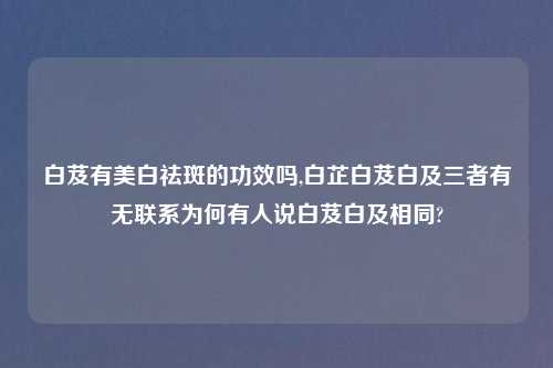 白芨有美白祛斑的功效吗,白芷白芨白及三者有无联系为何有人说白芨白及相同?