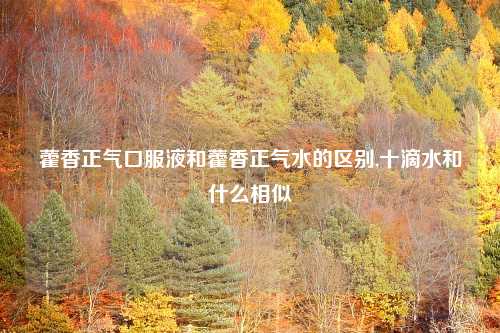 藿香正气口服液和藿香正气水的区别,十滴水和什么相似