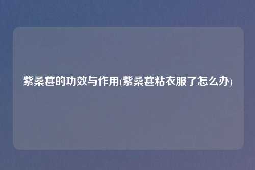 紫桑葚的功效与作用(紫桑葚粘衣服了怎么办)