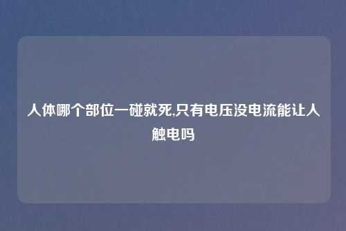 人体哪个部位一碰就死,只有电压没电流能让人触电吗