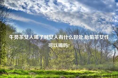 牛蒡茶女人喝了对女人有什么好处,胎菊茶女性可以喝吗?