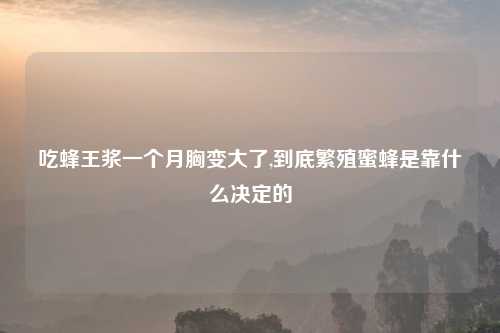 吃蜂王浆一个月胸变大了,到底繁殖蜜蜂是靠什么决定的