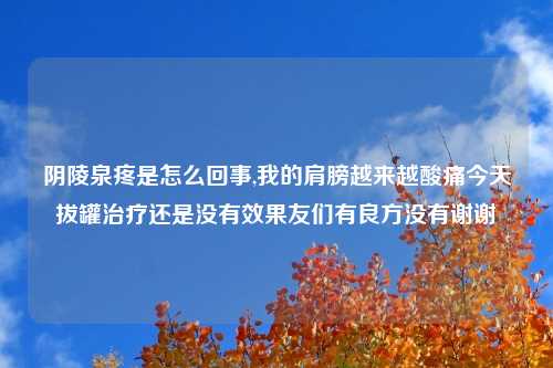 阴陵泉疼是怎么回事,我的肩膀越来越酸痛今天拔罐治疗还是没有效果友们有良方没有谢谢