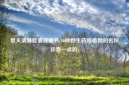 景天清肺胶囊说明书(10种野生药用植物的名称珍贵一点的)