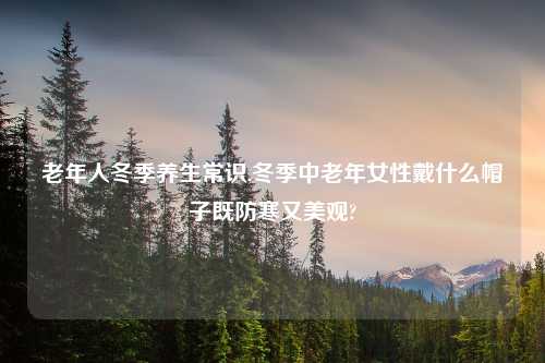 老年人冬季养生常识,冬季中老年女性戴什么帽子既防寒又美观?