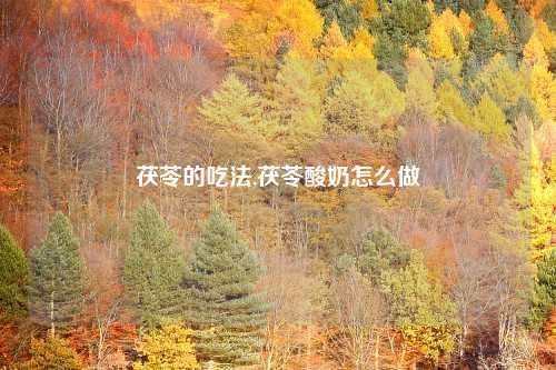 茯苓的吃法,茯苓酸奶怎么做