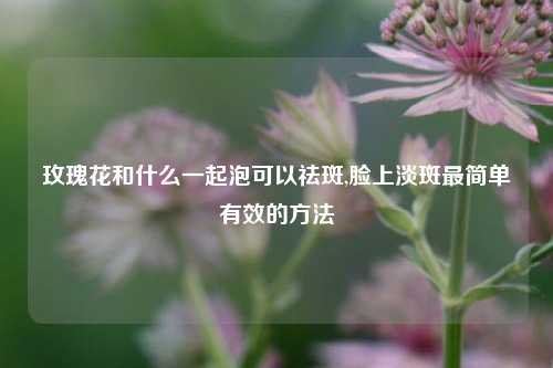 玫瑰花和什么一起泡可以祛斑,脸上淡斑最简单有效的方法