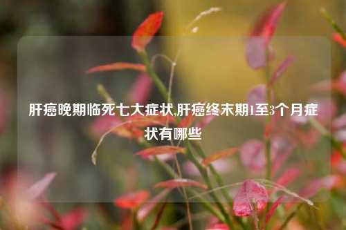 肝癌晚期临死七大症状,肝癌终末期1至3个月症状有哪些