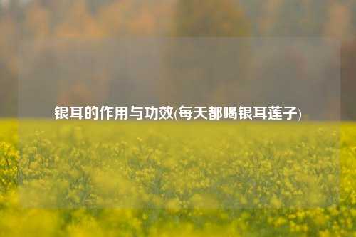 银耳的作用与功效(每天都喝银耳莲子)