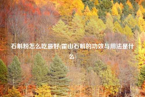 石斛粉怎么吃最好(霍山石斛的功效与用法是什么)