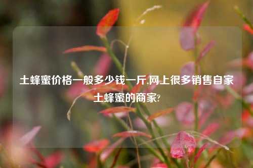 土蜂蜜价格一般多少钱一斤,网上很多销售自家土蜂蜜的商家?