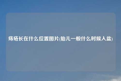 痔疮长在什么位置图片(胎儿一般什么时候入盆)