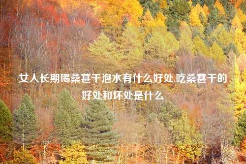 女人长期喝桑葚干泡水有什么好处,吃桑葚干的好处和坏处是什么