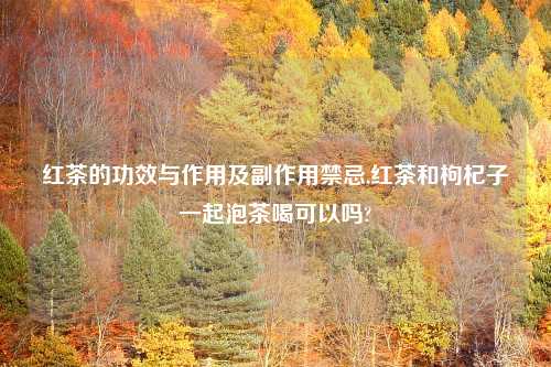 红茶的功效与作用及副作用禁忌,红茶和枸杞子一起泡茶喝可以吗?