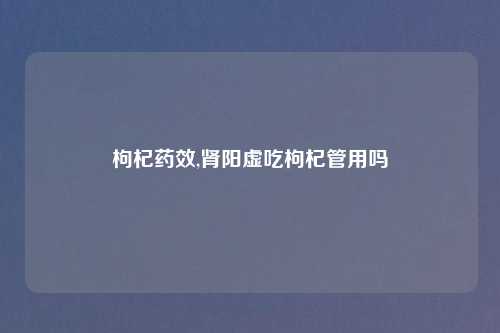 枸杞药效,肾阳虚吃枸杞管用吗