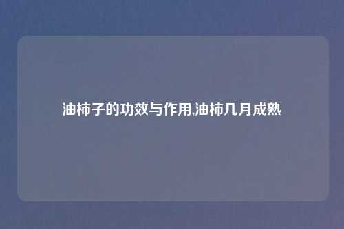 油柿子的功效与作用,油柿几月成熟