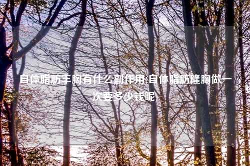 自体脂肪丰胸有什么副作用(自体脂肪隆胸做一次要多少钱呢)