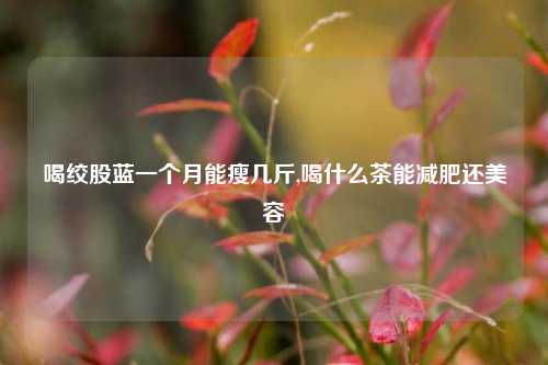 喝绞股蓝一个月能瘦几斤,喝什么茶能减肥还美容