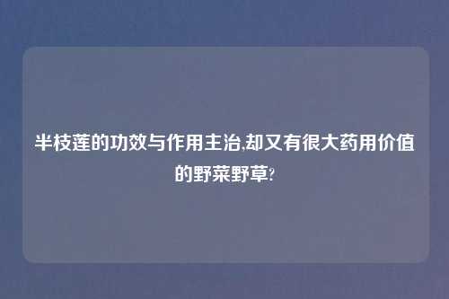 半枝莲的功效与作用主治,却又有很大药用价值的野菜野草?