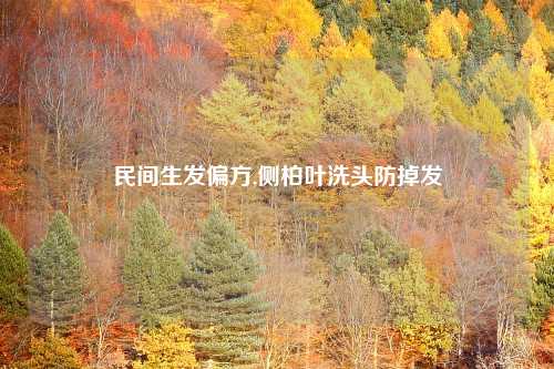 民间生发偏方,侧柏叶洗头防掉发