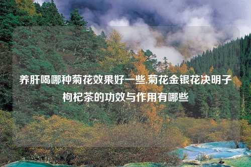 养肝喝哪种菊花效果好一些,菊花金银花决明子枸杞茶的功效与作用有哪些