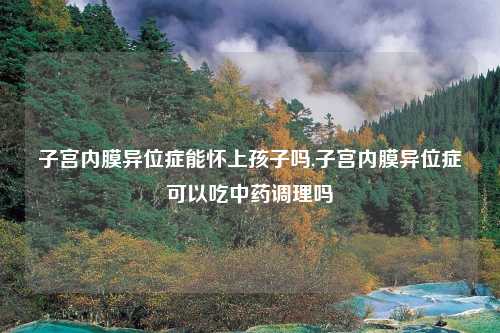 子宫内膜异位症能怀上孩子吗,子宫内膜异位症可以吃中药调理吗