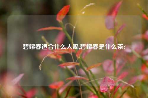 碧螺春适合什么人喝,碧螺春是什么茶?