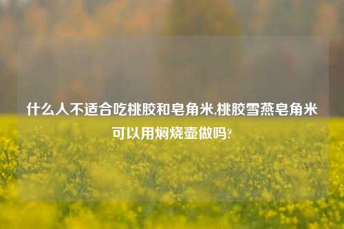 什么人不适合吃桃胶和皂角米,桃胶雪燕皂角米可以用焖烧壶做吗?