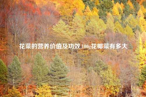 花菜的营养价值及功效,100g花椰菜有多大