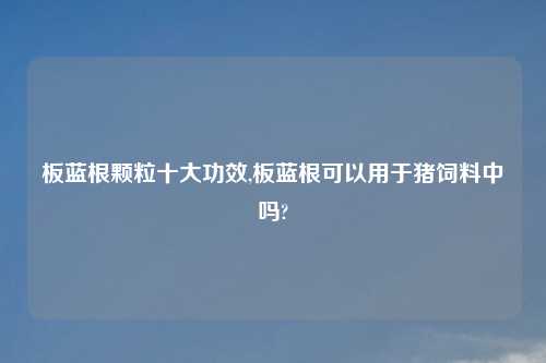 板蓝根颗粒十大功效,板蓝根可以用于猪饲料中吗?