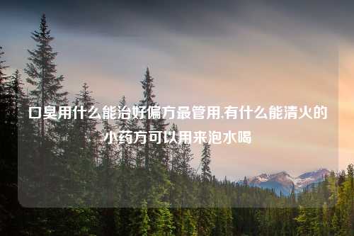 口臭用什么能治好偏方最管用,有什么能清火的小药方可以用来泡水喝