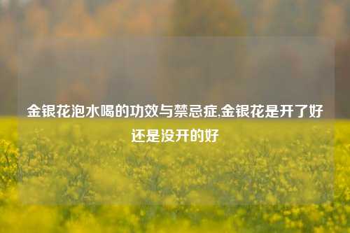 金银花泡水喝的功效与禁忌症,金银花是开了好还是没开的好