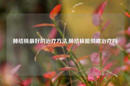 肺结核最好的治疗方法,肺结核能彻底治疗吗