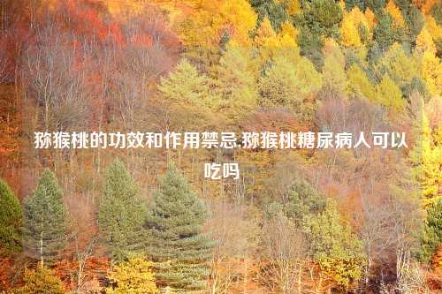 猕猴桃的功效和作用禁忌,猕猴桃糖尿病人可以吃吗