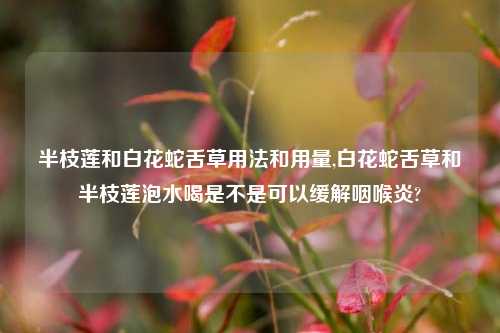 半枝莲和白花蛇舌草用法和用量,白花蛇舌草和半枝莲泡水喝是不是可以缓解咽喉炎?