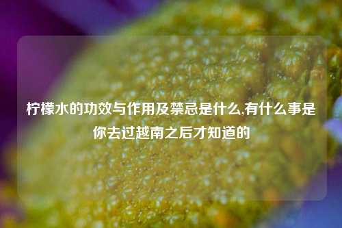 柠檬水的功效与作用及禁忌是什么,有什么事是你去过越南之后才知道的