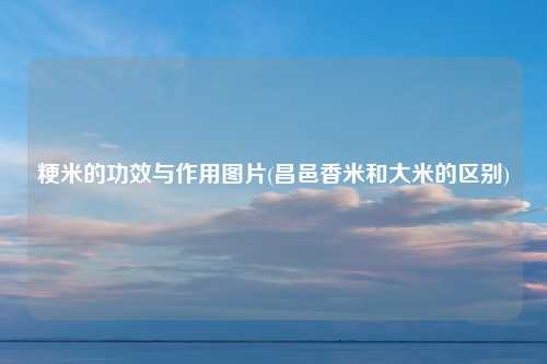 粳米的功效与作用图片(昌邑香米和大米的区别)