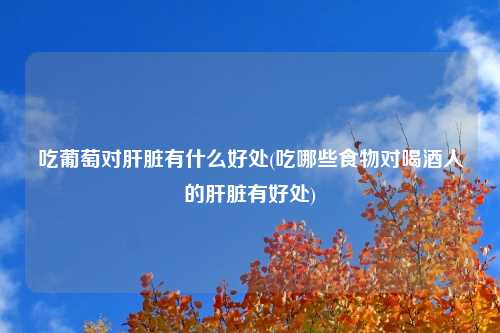 吃葡萄对肝脏有什么好处(吃哪些食物对喝酒人的肝脏有好处)