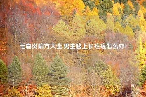 毛囊炎偏方大全,男生脸上长痤疮怎么办?