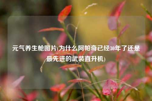 元气养生舱图片(为什么阿帕奇已经30年了还是最先进的武装直升机)