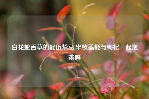 白花蛇舌草的配伍禁忌,半枝莲能与枸杞一起泡茶吗