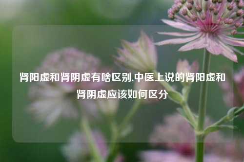 肾阳虚和肾阴虚有啥区别,中医上说的肾阳虚和肾阴虚应该如何区分