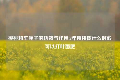 樱桃和车厘子的功效与作用,2年樱桃树什么时候可以打叶面肥